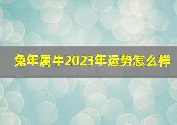 兔年属牛2023年运势怎么样,85年属牛男命2023年财运怎么样38岁兔年事业运