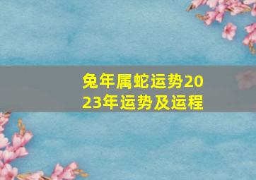 兔年属蛇运势2023年运势及运程,2023年6月21日属相小运播报与特吉生肖运势吉凶