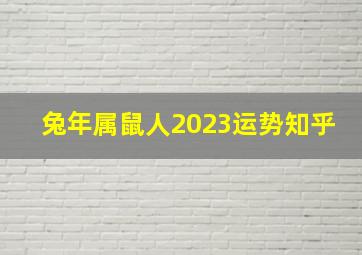 兔年属鼠人2023运势知乎,2023年属鼠人犯太岁吗兔年运势运程