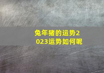 兔年猪的运势2023运势如何呢,83年属猪男命2023年财运怎样样40岁兔年事业运