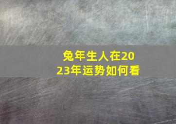 兔年生人在2023年运势如何看,兔年出生的人2023年运势及运程