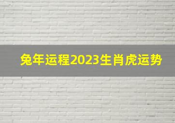 兔年运程2023生肖虎运势,兔年出生的人2023年运势及运程