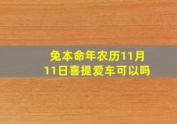 兔本命年农历11月11日喜提爱车可以吗,属兔农历11日好不好?