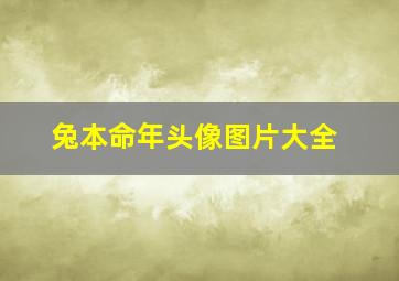 兔本命年头像图片大全,兔本命年头像图片大全女