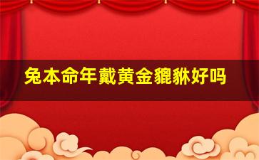 兔本命年戴黄金貔貅好吗,属兔的戴本命佛