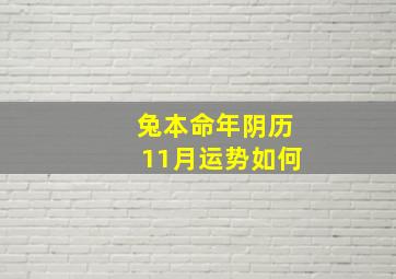 兔本命年阴历11月运势如何,兔本命年阴历11月运势如何看