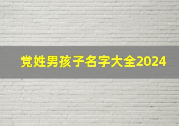 党姓男孩子名字大全2024,党姓男宝宝名字大全