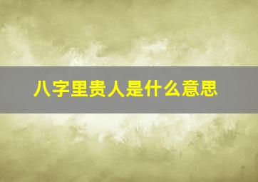 八字里贵人是什么意思,八字里贵人是什么意思呀