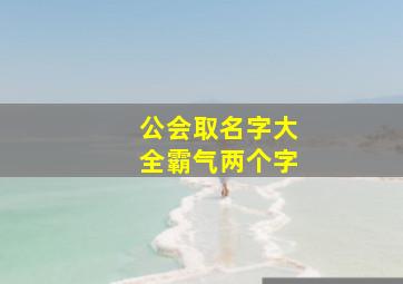 公会取名字大全霸气两个字,公会名字有诗意的