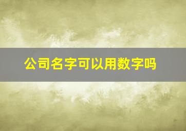 公司名字可以用数字吗