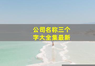 公司名称三个字大全集最新,公司名称大全简单大气三个字