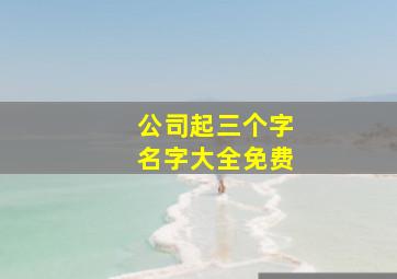 公司起三个字名字大全免费,公司起名三个字大全2024最新版的