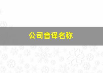 公司音译名称,公司音译名称怎么写