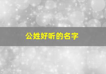 公姓好听的名字,公姓洋气名字