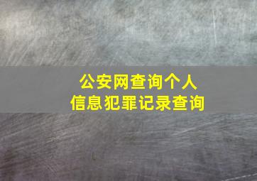 公安网查询个人信息犯罪记录查询,网上怎么查询个人案底