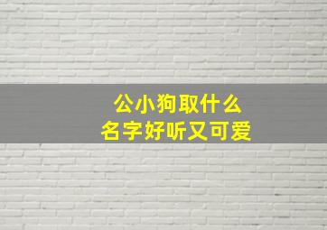 公小狗取什么名字好听又可爱,公小狗取什么名字好听又可爱女生