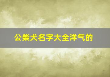 公柴犬名字大全洋气的,公柴犬起名洋气