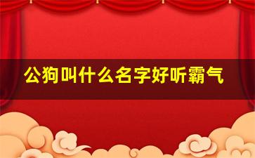 公狗叫什么名字好听霸气,公犬好听顺口的名字