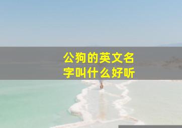 公狗的英文名字叫什么好听,公狗的英文名字有哪些