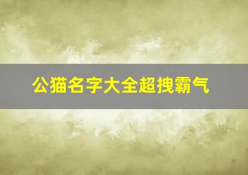 公猫名字大全超拽霸气,公猫霸气高贵的名字哪些带财运