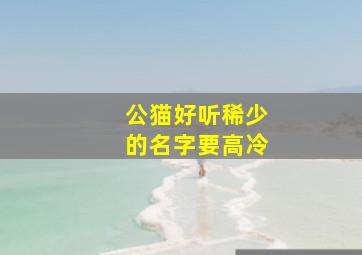 公猫好听稀少的名字要高冷,公猫咪好听的名字