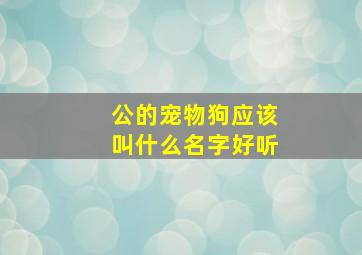 公的宠物狗应该叫什么名字好听