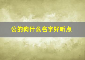 公的狗什么名字好听点,公的狗名字好听的名字