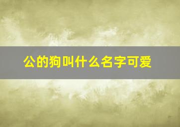 公的狗叫什么名字可爱