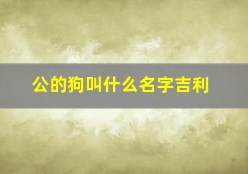 公的狗叫什么名字吉利,最旺家的狗名2024