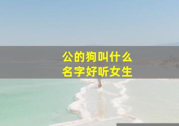 公的狗叫什么名字好听女生,我家养了一只小狗请帮忙取个好听的名字（公狗）中英文都行