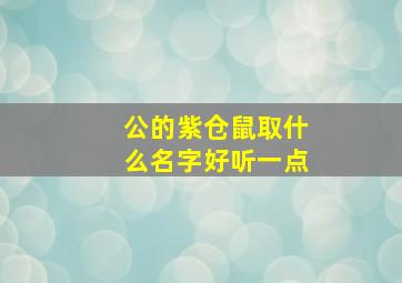 公的紫仓鼠取什么名字好听一点,公紫仓鼠性格好不好