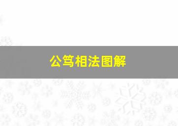 公笃相法图解,公笃相法pdf百度云下载