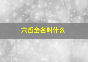 六哲全名叫什么,六哲和陈娟儿结婚了吗