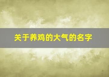 关于养鸡的大气的名字,养鸡好听的名字