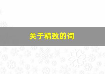 关于精致的词,关于精致的词语有哪些