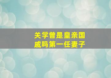 关学曾是皇亲国戚吗第一任妻子,关学曾是清朝人吗