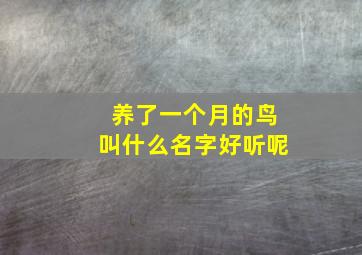 养了一个月的鸟叫什么名字好听呢