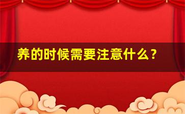 养的时候需要注意什么？,养护小技巧