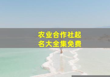 农业合作社起名大全集免费,农村农民合作社起什么名字好