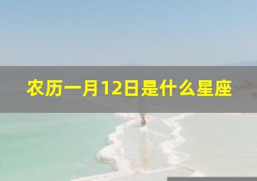 农历一月12日是什么星座,农历一月12日是什么星座女