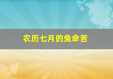 农历七月的兔命苦,属兔人命最差农历月份农历二月人缘较差