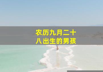 农历九月二十八出生的男孩,1955年阴历九月二十八出生的男人运势如何