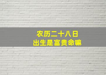 农历二十八日出生是富贵命嘛,有人十富日出生