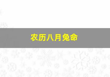 农历八月兔命,农历八月属兔的人怎么样