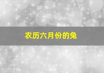 农历六月份的兔,农历六月份的兔宝哪天出生好