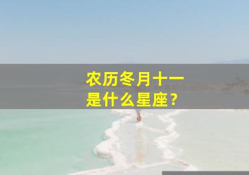 农历冬月十一是什么星座？,农历十一月是冬月