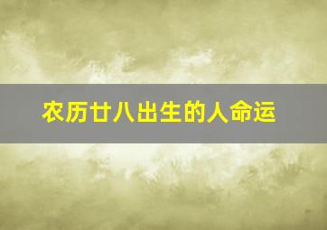 农历廿八出生的人命运,农历二十八生