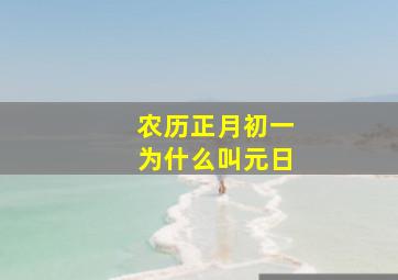 农历正月初一为什么叫元日,为什么每年正月初一的日子不同