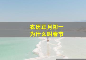 农历正月初一为什么叫春节,农历正月初一为什么叫春节呢