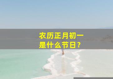 农历正月初一是什么节日？,农历正月初一是什么节日子